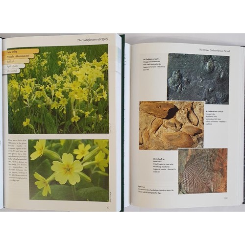 229 - John Feehan, The Wildflowers of Offaly, mint, pic cover, folio, c2009, now o/p and rare. The Geology... 