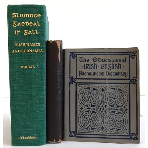 261 - Irish Names and Surnames by Rev. Patrick Woulfe; The Educational Irish English Pronouncing Dictionar... 