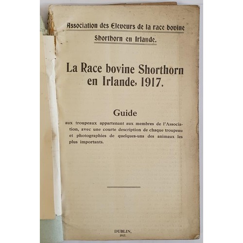 294 - la Race Bovine Shorthorn Irlande. Guide. 1917 Association des Eleveurs de las Race Bovine Shorthorn ... 