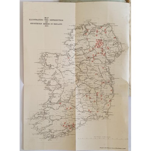 294 - la Race Bovine Shorthorn Irlande. Guide. 1917 Association des Eleveurs de las Race Bovine Shorthorn ... 