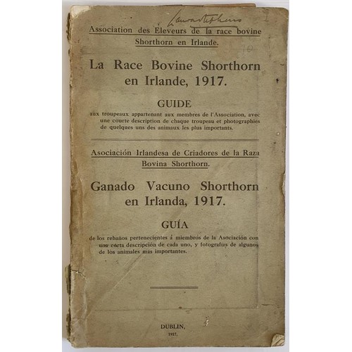 294 - la Race Bovine Shorthorn Irlande. Guide. 1917 Association des Eleveurs de las Race Bovine Shorthorn ... 