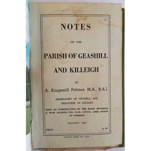 66 - Notes on Leix, Offaly and Leighlin. Various booklets compiled in 1 Volume by Patrick F Meehan