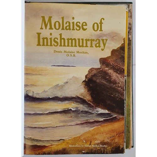 130 - Collection of Publications such as Molaise of Inismurray, Father Michael Meehan and The Ark of Kilba... 