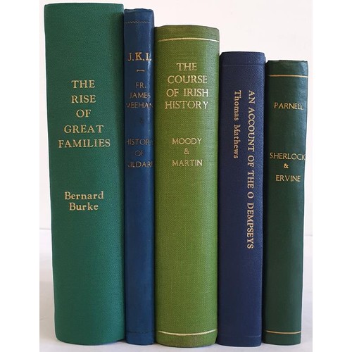 151 - Irish Interest: The Course of Irish History edited by T W Moody, 1967; The Rise of Great Families by... 