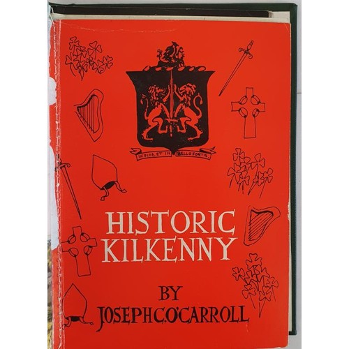 155 - Meath/Kildare/Kilkenny publications bound as one; Meath and Kildare-an historical guide edited by Jo... 