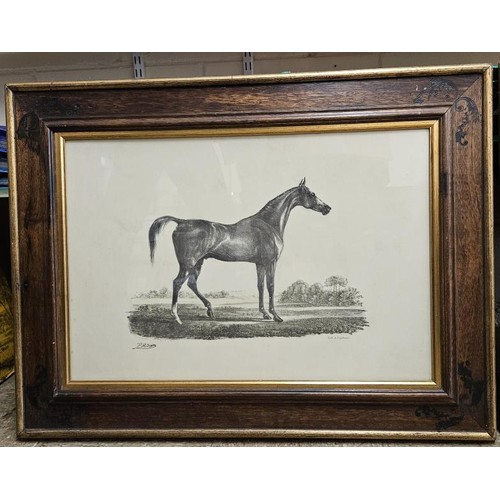 420 - Pair of Framed Equine Interest Lithographs by Engelmann, frames c.33in x 25in