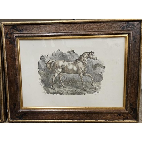 420 - Pair of Framed Equine Interest Lithographs by Engelmann, frames c.33in x 25in