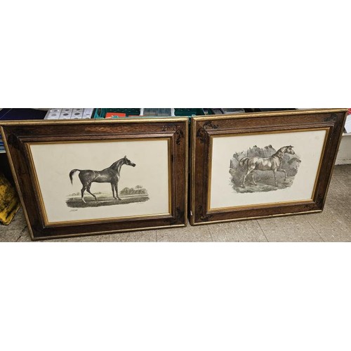 420 - Pair of Framed Equine Interest Lithographs by Engelmann, frames c.33in x 25in