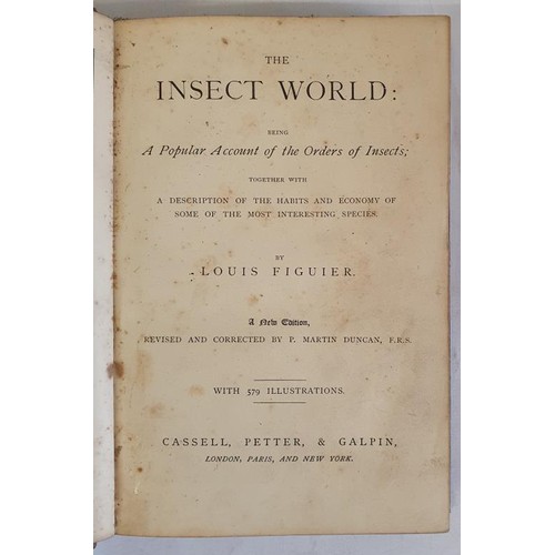 The Insect World: Being A Popular Account of the Order of Insects ...