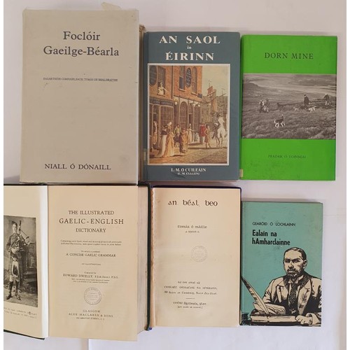 363 - Irish Language: Foclóir Gaeilg-Béarla edited by Nilall Ó Dónaill, 1977; ... 