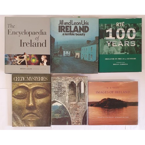 719 - Irish Interest Coffee Table Books: The Encyclopaedia of Ireland edited by Brian Lalor, 2003; RTE 100... 