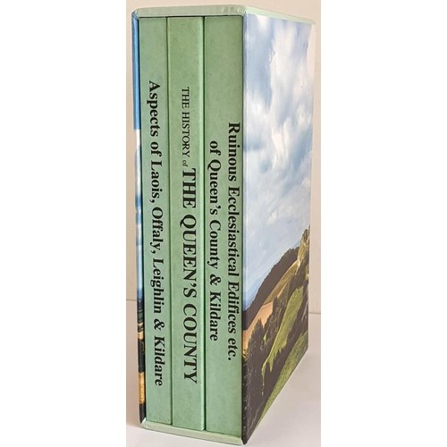 49 - The History of Queen’s County; Ruinous Ecclesiastical Edifices, etc of Queen’s county an... 