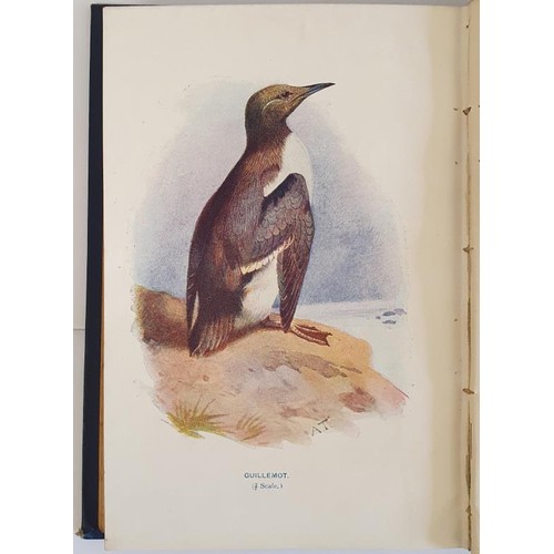 129 - Familiar Wild Birds. WALTER SWAYSLAND Published by London: Cassell & Company, Limited, 1903, Vol... 