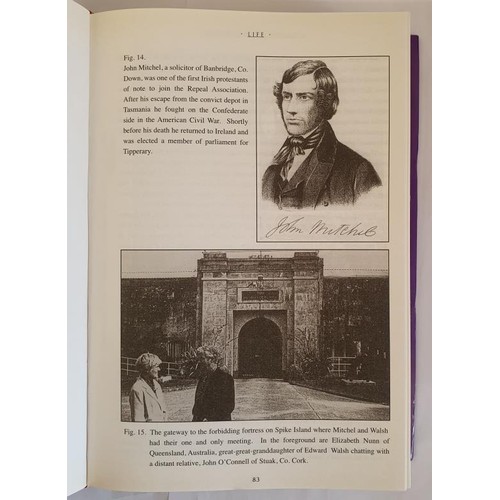 175 - A Tragic Troubadour, Life and Times of Folklorist, Poet and Translator, Edward Walsh 1805-1850 by Re... 