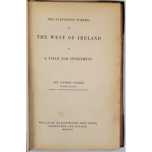 322 - The Plantation Scheme: or The West of Ireland as A Field for Investment Caird, James Published by Bl... 