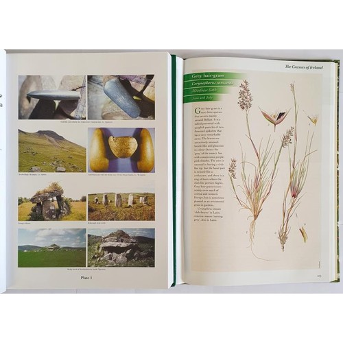 491 - John Feehan:Farming in Ireland. History, Heritage and Environment. 2003. 605 pages. large format. du... 