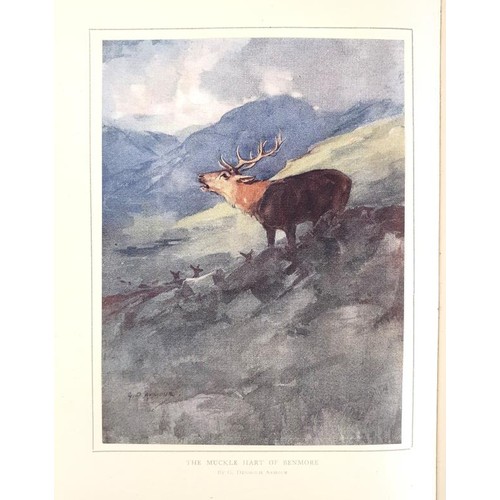 531 - Natural History] St. John Wild Sports & Natural History of the Highland … Pictures by G. ... 