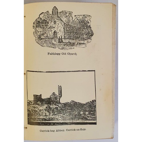 55 - P. M. Egan. Historical Guide & Directory of County and City of Waterford. 1894. 1st Folding map ... 