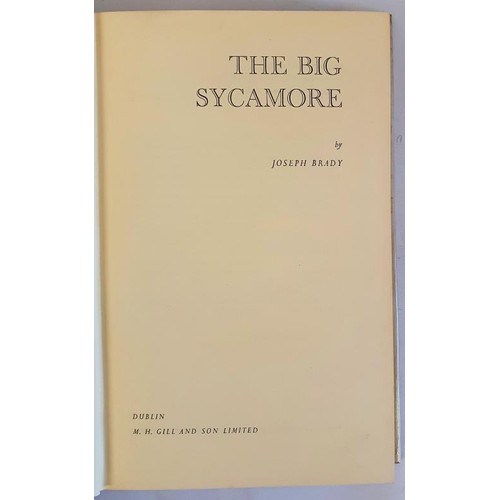 122 - Joseph Brady – The Big Sycamore, published M.H. Gill, Dublin 1958, Signed by the author as follows t... 