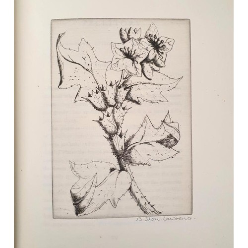 262 - An Herbarium for the Fair - Being a Book of Common Herbs with Etchings by Betty Shaw-Lawrence. Toget... 