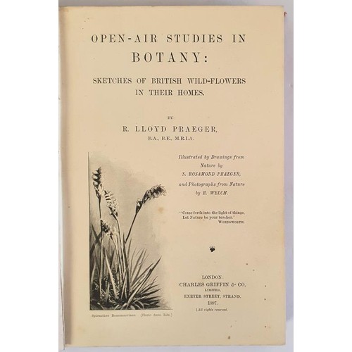 265 - Open-Air Studies in Botany: Sketches of British Wild-Flowers in Their Homes by Lloyd Praeger illustr... 