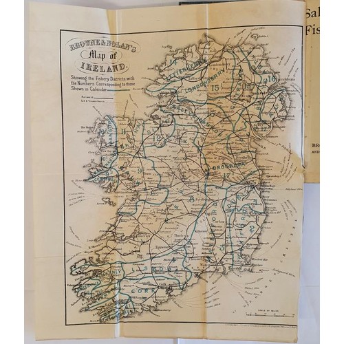 293 - Walter J. Matson. Salmon and Trout Fishing in Ireland. 1910. 1st. Folding map and numerous coloured ... 