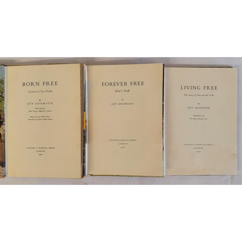 591 - Joy Adamson - Born Free, Living Free, & Forever Free. First edition set of the Born Free Trilogy... 