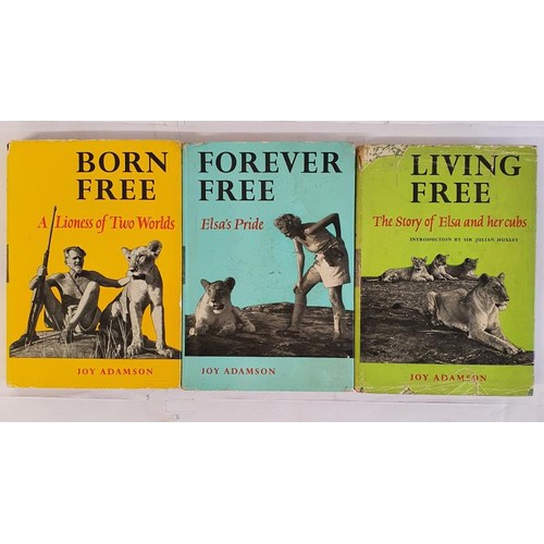 591 - Joy Adamson - Born Free, Living Free, & Forever Free. First edition set of the Born Free Trilogy... 