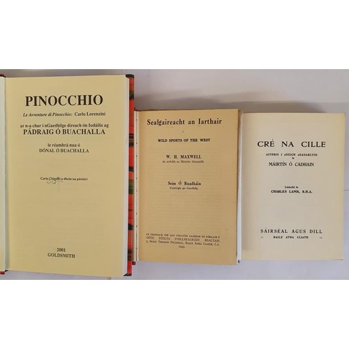 123 - Carlo Chiostri - Pinocchio, translated by Padraig, O Buachalla, published 2001. Maitrin O'Cadhain &n... 