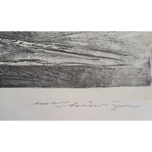 36 - Shannon hydroelectric Scheme; Anton Scheuritzel (1874-1954), series of 8 hand-signed lithographs on ... 