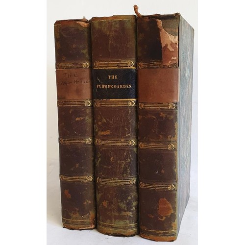 500 - The Flower Garden: Containing Directions for the Cultivation of All Garden Flowers; with Selected Li... 