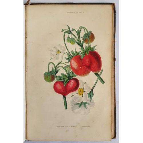 500 - The Flower Garden: Containing Directions for the Cultivation of All Garden Flowers; with Selected Li... 