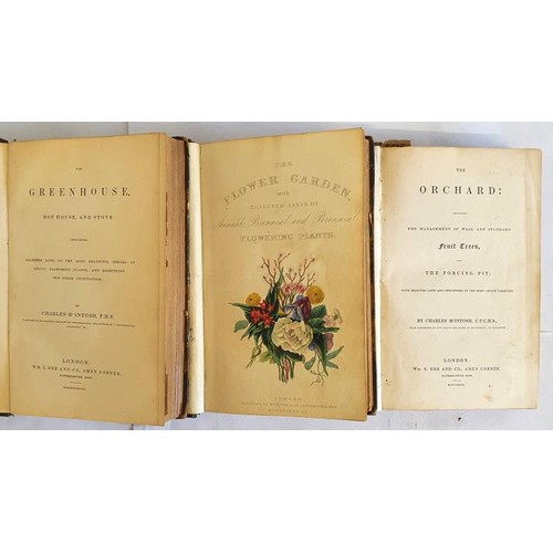 500 - The Flower Garden: Containing Directions for the Cultivation of All Garden Flowers; with Selected Li... 