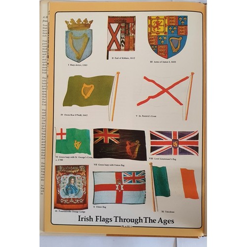 546 - A History of Irish Flags from the earliest times. Hayes-McCoy, G.A Published by Academy Press, Dubli... 