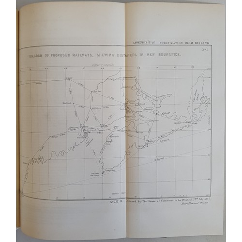 14 - [The Famine in Ireland]. Report from Committees 1847. Report on Colonization from Ireland with minut... 