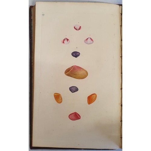 19 - Edward Donovan. The Natural History of British Shells 1800/1804. 5 volumes. First editions Complete ... 