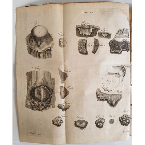 51 - Monro, Alexander;&nbsp;A Description of all the Bursae Mucosae of the Human Body, their Structure Ex... 