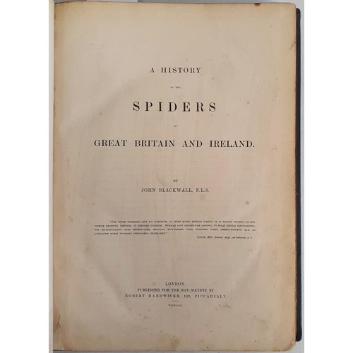 56 - John Blackwell. A History of the Spiders of Great Britain & Ireland. 1861. First. With 29 hand c... 
