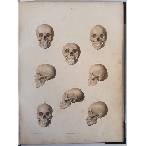 11 - Dr. J. Fau and M. Leveille. The Anatomy of the External Forms of Man. 1849. With 28 fine coloured li... 