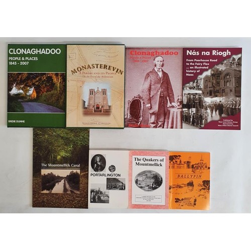 44 - Kildare: N&aacute;s na R&iacute;ogh-From Poorhouse Road to the Fairy Flax published by Naas Local Hi... 