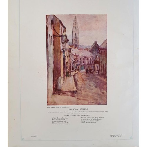 6 - Cork and County Cork in the Twentieth Century / Contemporary Biographies by Hodges, Rev. Richard J E... 