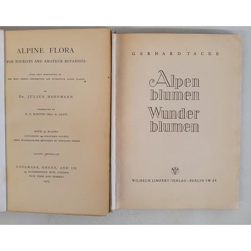 44 - Dr. Julius Hoffmann. Alpine Flora. 1903. 4o plates contaning 250 coloured figures. Original green cl... 