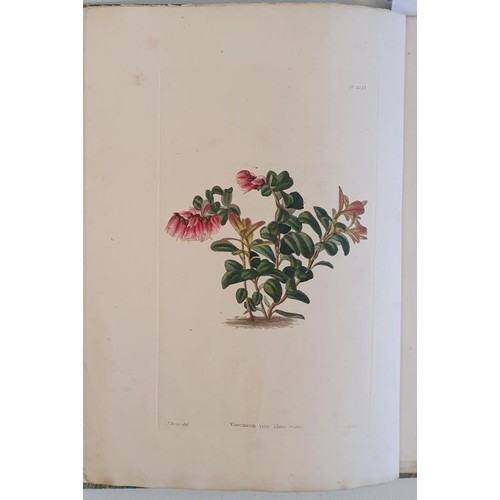 112 - Conrad Loddiges and George Cooke. Botanical Cabinet. 1825. with 10 fine hand coloured floral plates.... 