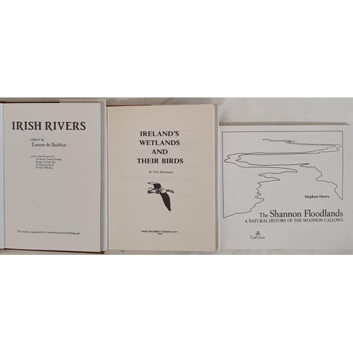Irish Rivers edited by Éamon de Buitléar, HB,DJ 1985; Ireland's Wetland ...