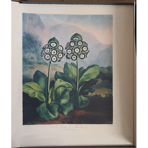 206 - The Temple of Flora: The Complete Plates Thornton, Robert John. Published by Taschen America Llc, 20... 