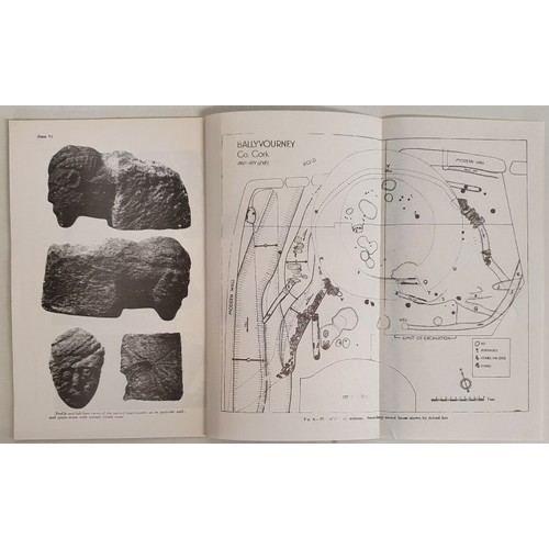 10 - Gobnait Naomhtha Bhaile Mhuirne. St. Gobnait of Ballyvourney. Michael J. O&rsquo;Kelly & Francoi... 