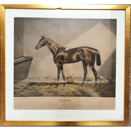28 - Sir Visto By Barcaldine - Vista Published July 1895 by Mess.rs Fores. c.54.5cm x 49cm Frame c.68cm x... 