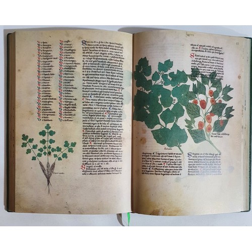 43 - Folio Society: Facsimile of British Library- Tractatus de Herbis, 2002. Limited edition No. 679 of 1... 