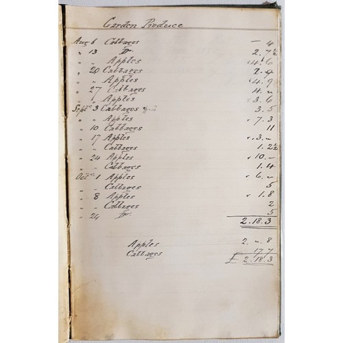 56 - Handwritten diary for the year 1881 by T. O. Springfield (Thomas Osborn Springfield) of Anner Castle... 