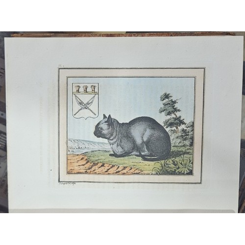 40 - Pallas. Travels Through the Southern Provinces of the Russian Empire in the Years 1793 & 1794. 1... 